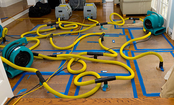 Professional Water Damage Repair technician working in Winthrop, MN